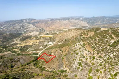 Сельхоз земля - 18251, photo 1