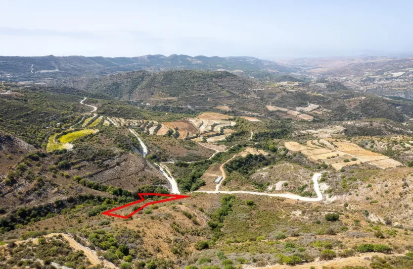 Сельхоз земля - 18251, photo 3