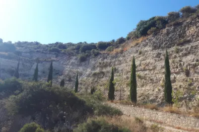 Сельхоз земля - 18259, photo 1