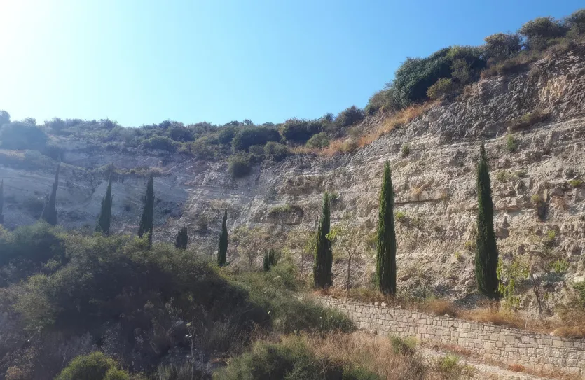 Сельхоз земля - 18259, photo 2