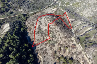 Сельхоз земля - 18265, photo 1