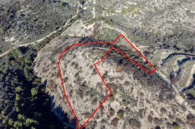 Сельхоз земля - 18265, photo 2