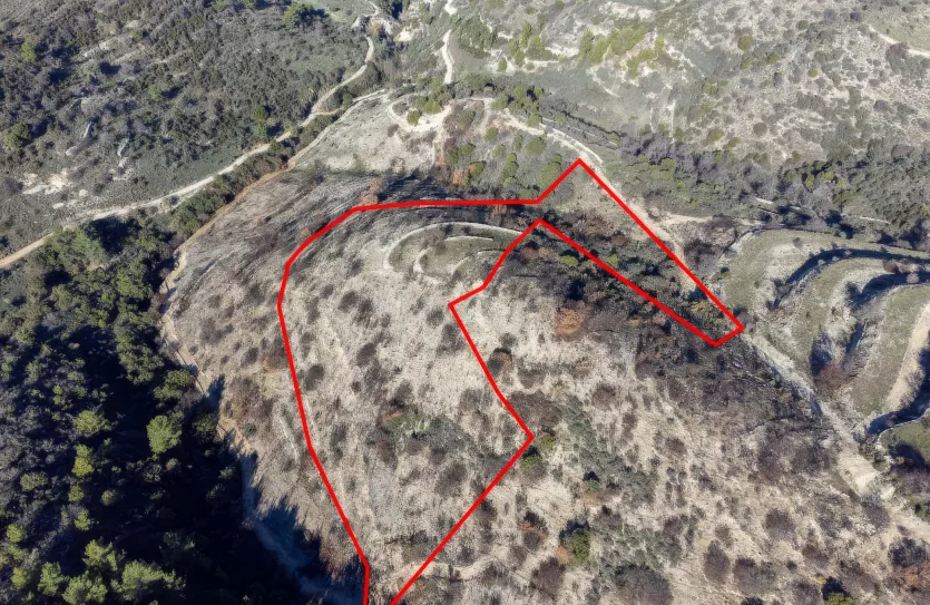 Сельхоз земля - 18265, photo 3