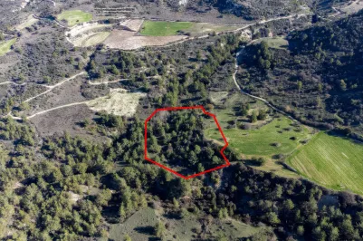 Сельхоз земля - 18267, photo 1