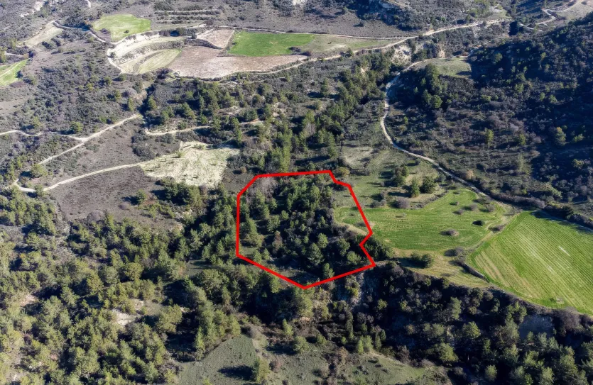 Сельхоз земля - 18267, photo 2