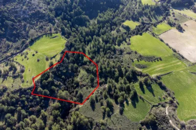 Сельхоз земля - 18267, photo 2