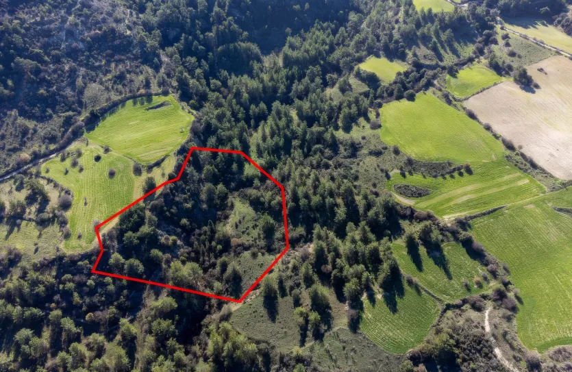 Сельхоз земля - 18267, photo 3