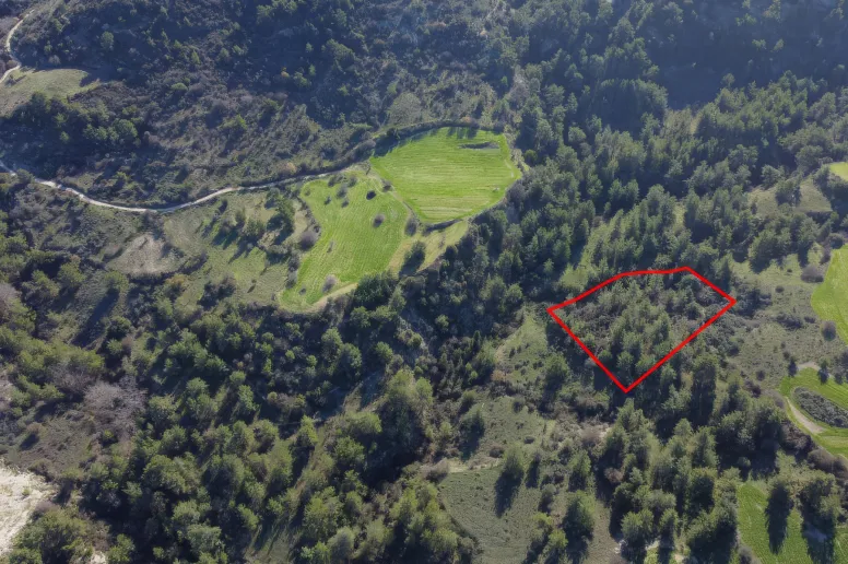 Сельхоз земля в Маусере, Пафос