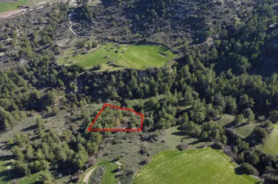 Agricultural land - 18266, photo 1