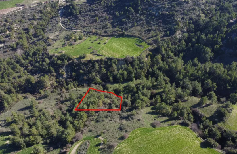 Agricultural land - 18266, photo 2