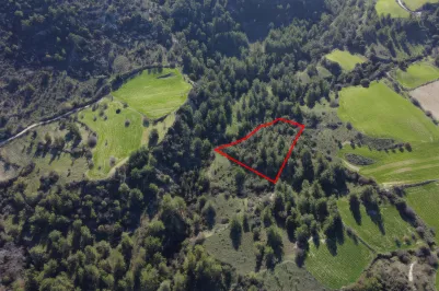 Agricultural land - 18266, photo 2