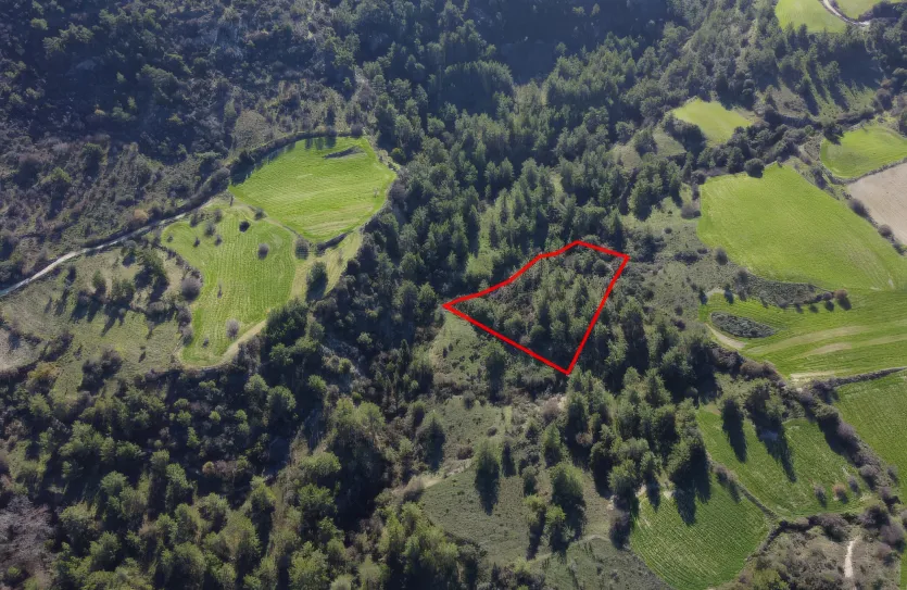 Agricultural land - 18266, photo 3