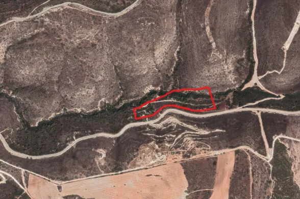 Сельхоз земля в Сускиу, Пафос