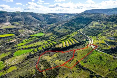 Сельхоз земля - 18263, photo 1