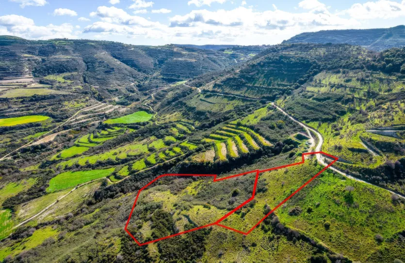 Сельхоз земля - 18263, photo 2