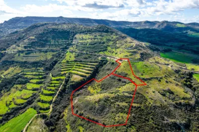 Сельхоз земля - 18263, photo 2