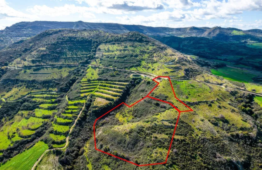 Сельхоз земля - 18263, photo 3