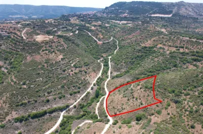 Сельхоз земля - 18262, photo 1