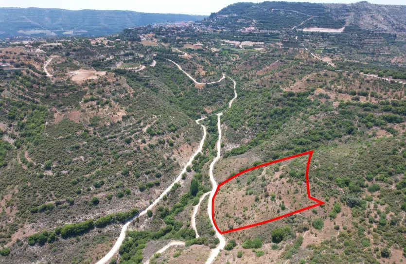 Сельхоз земля - 18262, photo 2