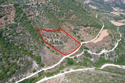 Сельхоз земля - 18262, photo 2