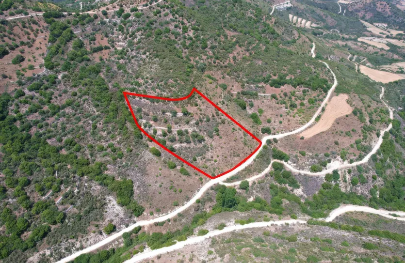 Сельхоз земля - 18262, photo 3