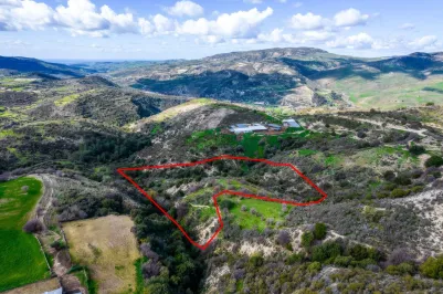 Сельхоз земля - 18260, photo 1