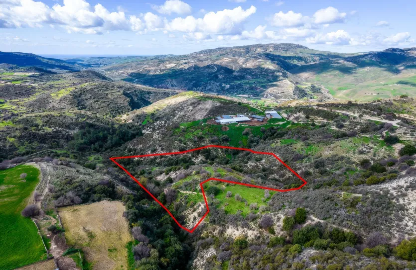 Сельхоз земля - 18260, photo 2