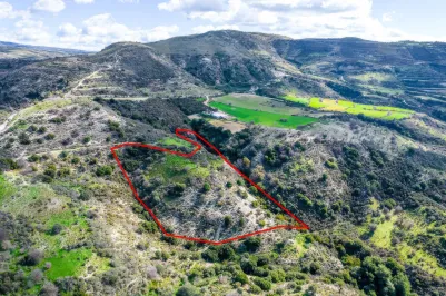 Сельхоз земля - 18260, photo 2