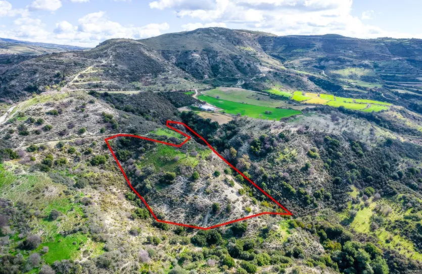 Сельхоз земля - 18260, photo 3