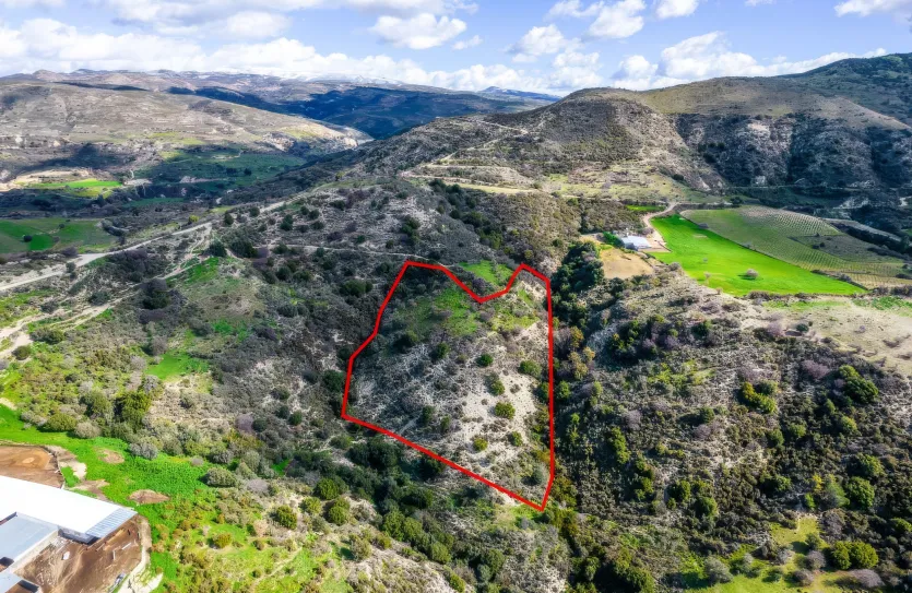 Сельхоз земля - 18260, photo 4