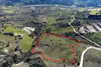 Сельхоз земля - 18279, photo 1