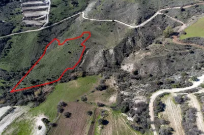 Сельхоз земля - 18279, photo 2