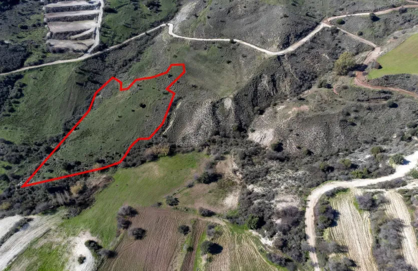 Сельхоз земля - 18279, photo 3