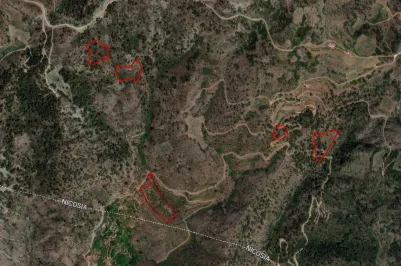 Сельхоз земля - 18278, photo 1