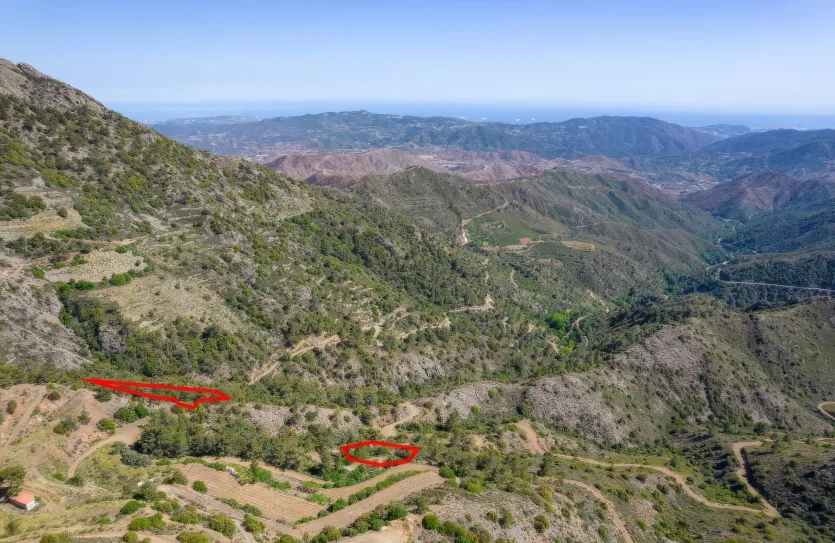 Сельхоз земля - 18278, photo 3