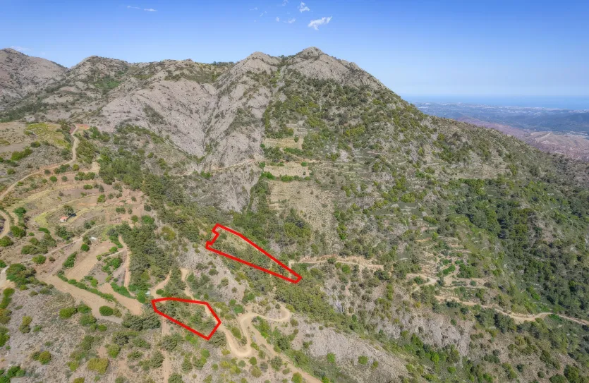 Сельхоз земля - 18278, photo 4