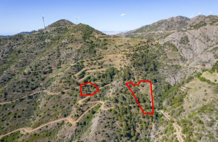 Сельхоз земля - 18278, photo 5