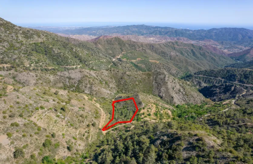 Сельхоз земля - 18278, photo 6