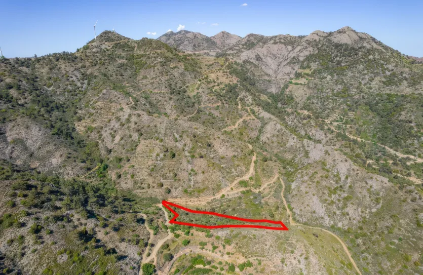 Сельхоз земля - 18278, photo 7