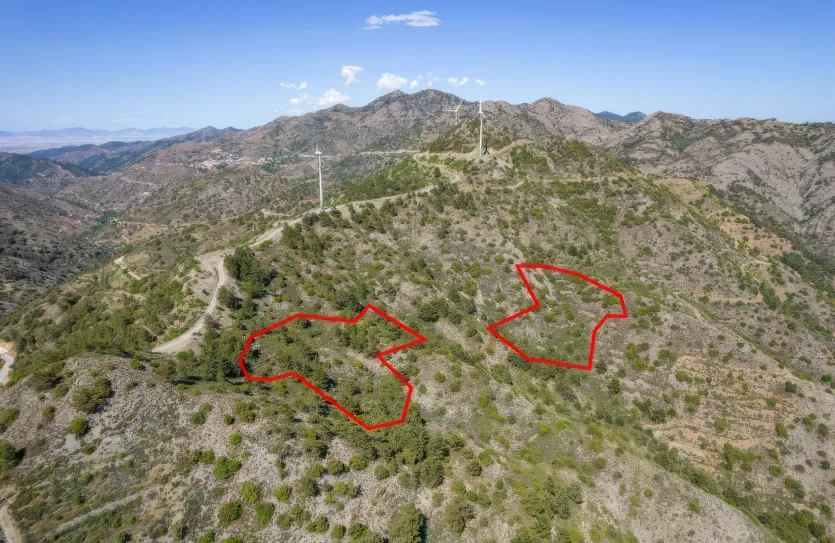 Сельхоз земля - 18278, photo 9