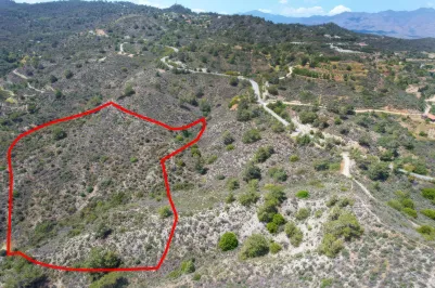 Сельхоз земля - 18277, photo 1