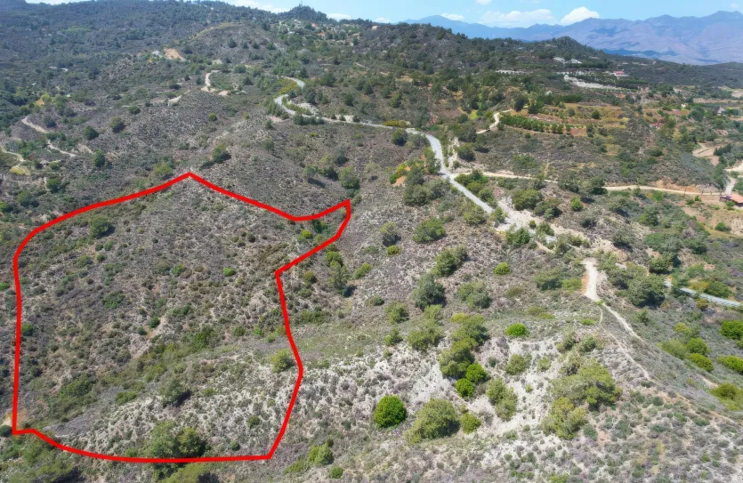 Сельхоз земля - 18277, photo 2