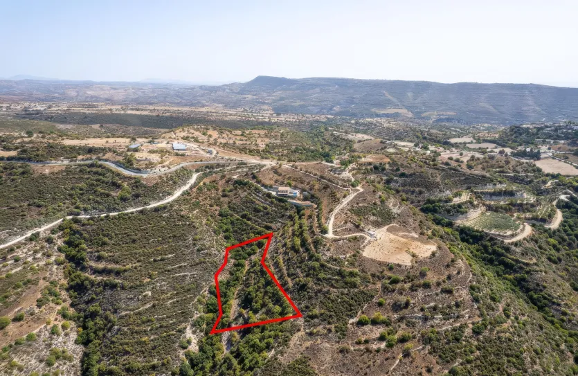 Сельхоз земля - 18276, photo 3