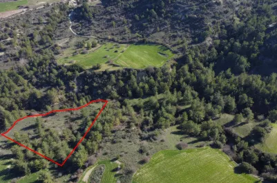 Agricultural land - 18275, photo 1