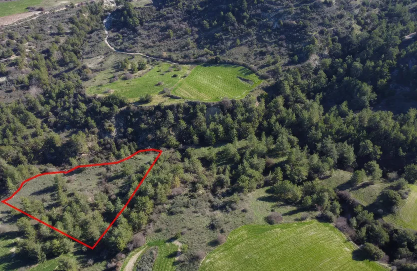 Agricultural land - 18275, photo 2