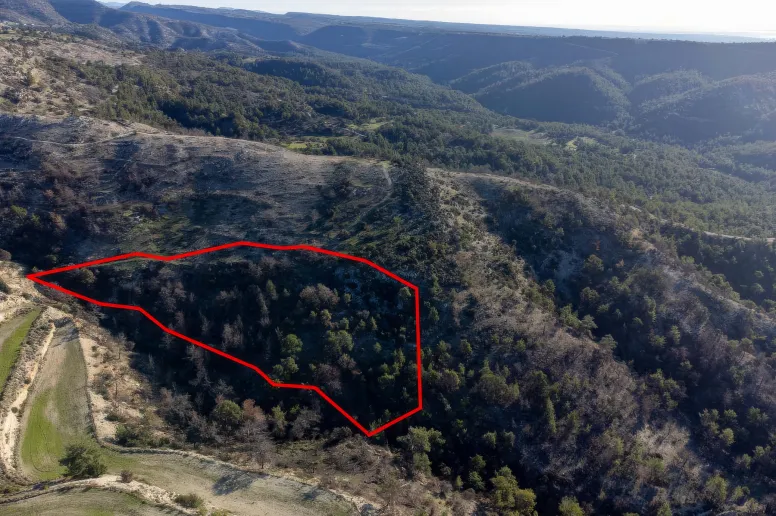 Сельхоз земля в Пано Архимандрита, Пафос