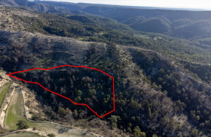 Сельхоз земля продажа - 18274