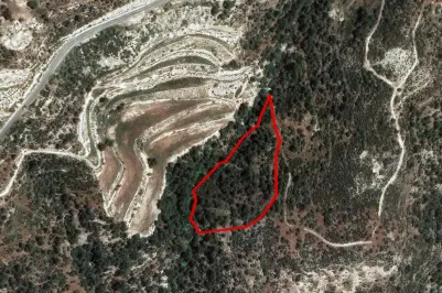 Сельхоз земля - 18274, photo 1