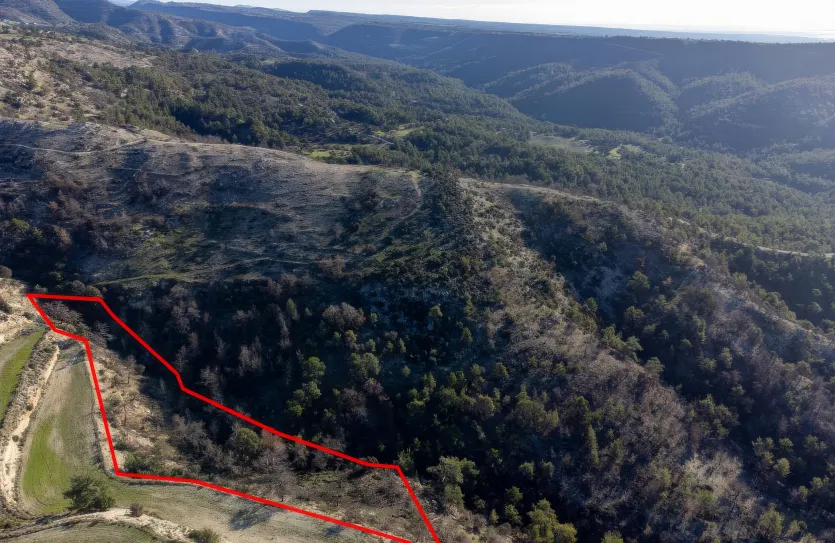 Сельхоз земля продажа - 18273