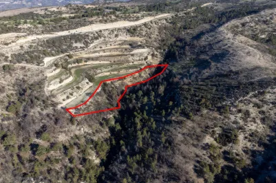 Сельхоз земля - 18273, photo 1